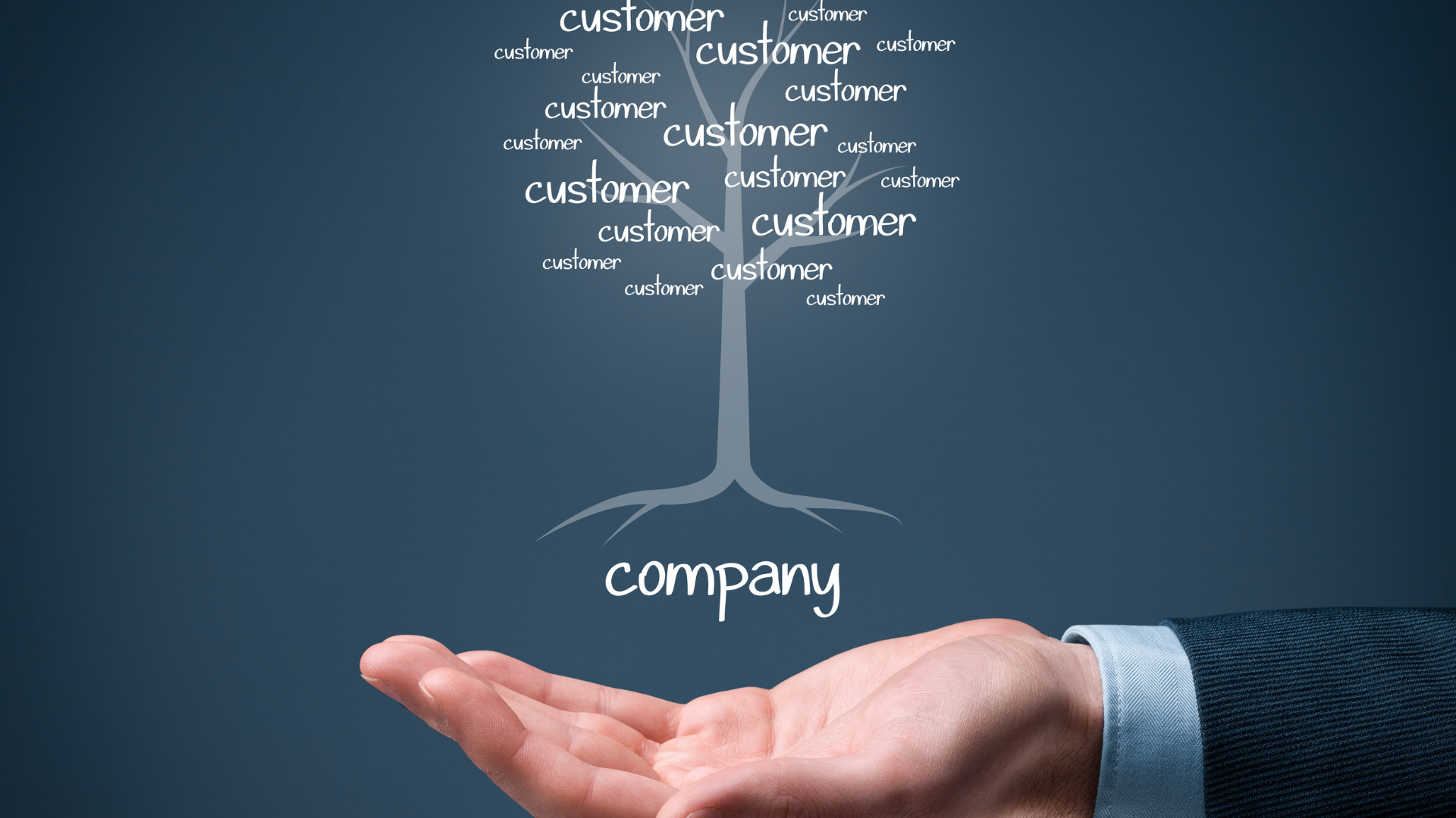 Cozy living room with greenery and sunlight