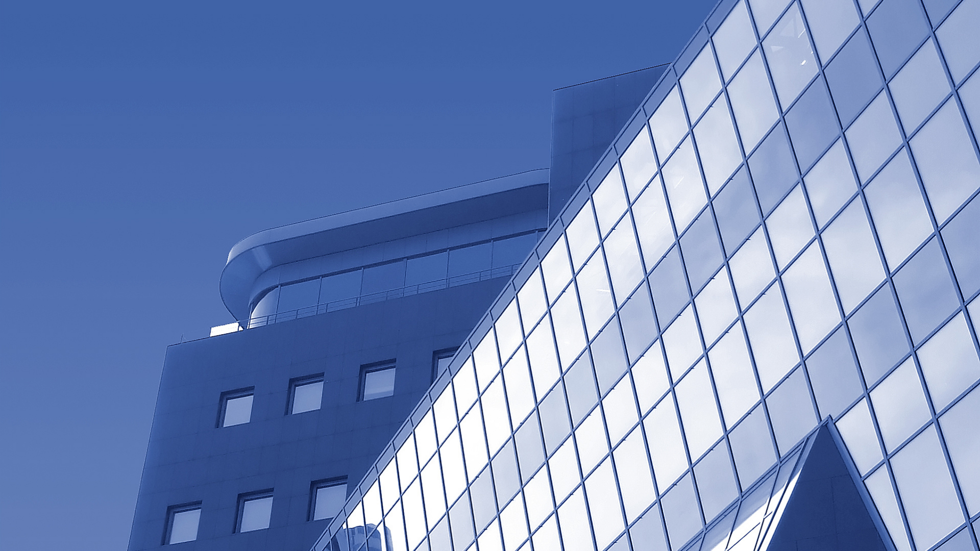 Tree canopy with sunlight